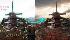 成人h视频在线观看-成人h视频，网络时代的隐秘角落