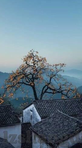糖心app免费-糖心巧遇，一段无价的免费体验之旅