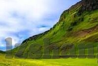 仙踪林果冻传媒-仙踪林果冻传媒，探索数字娱乐新境界的绿色奇迹